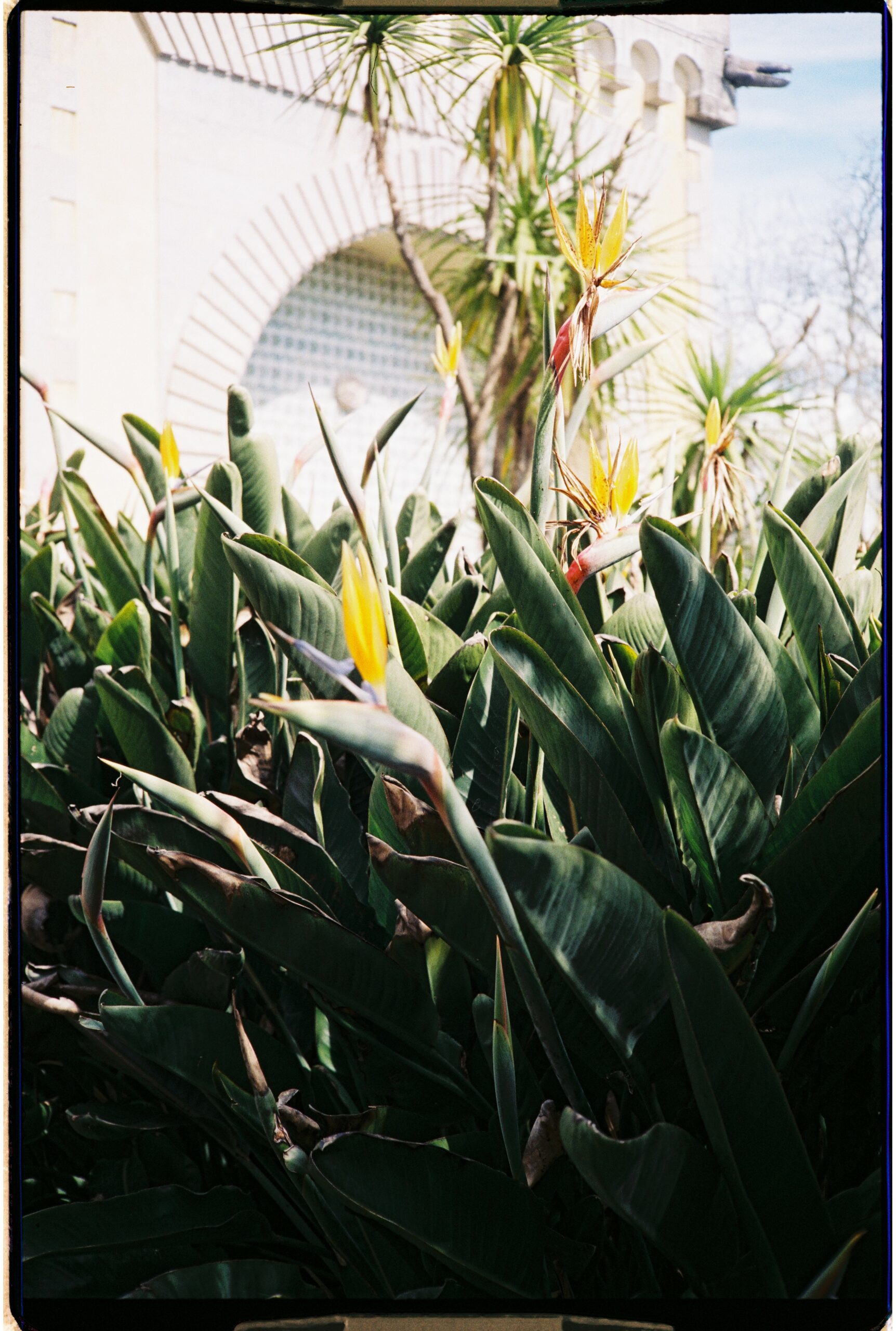 photographe freelance outdoor