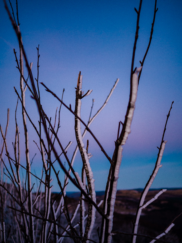 photographe freelance outdoor