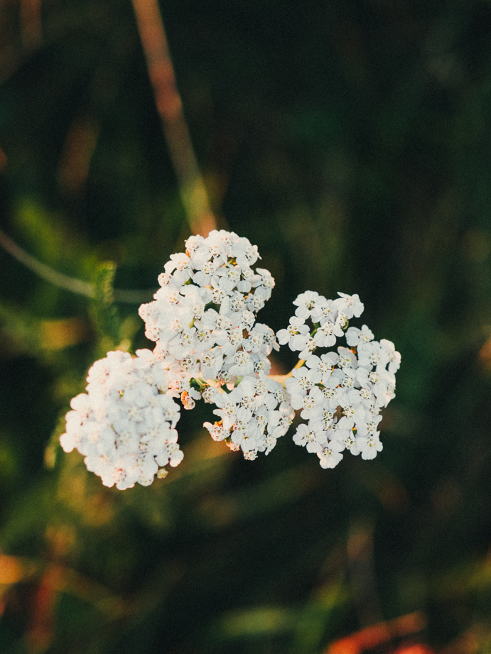 photographe freelance outdoor