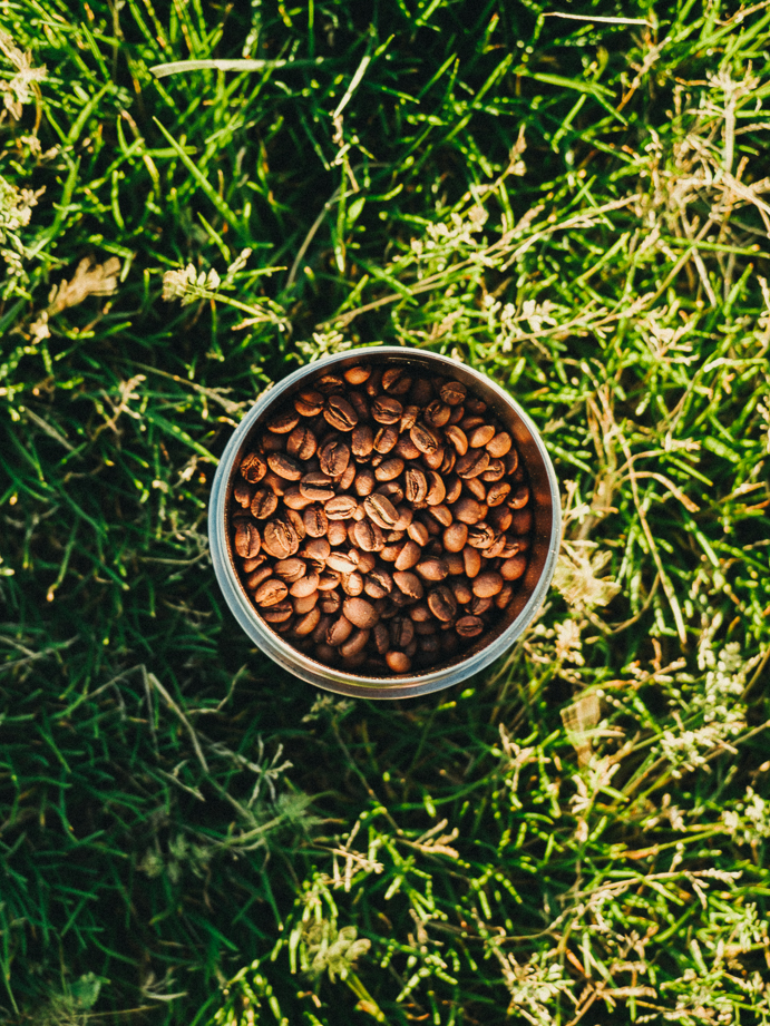 photographe freelance outdoor